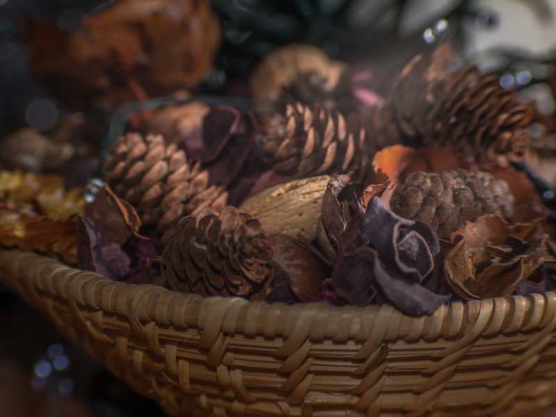 Arcorns-and-nuts-in-a-brown-basket