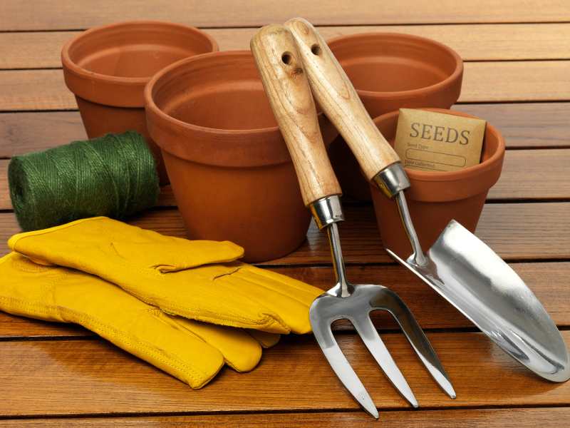 garden-kits-on-a-wooden-table