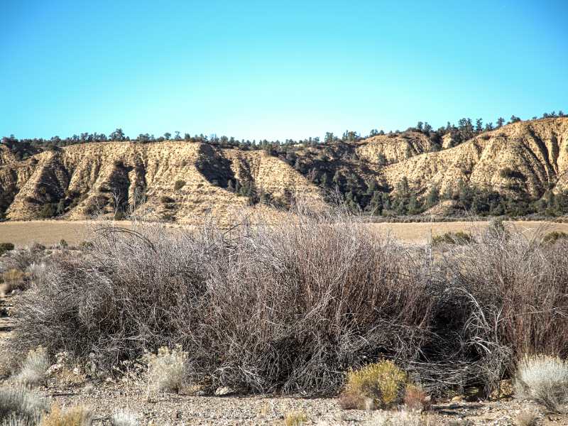 desert-scape-break-aesthetic