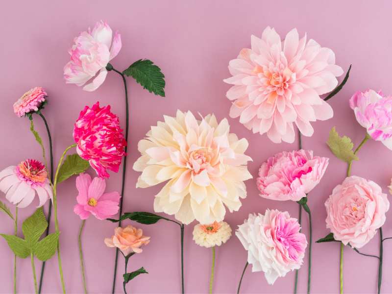 paper-flowers-on-a-pink-background