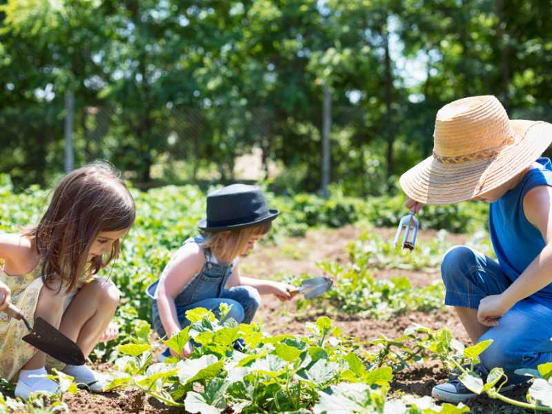 kids-playing-in-the-garden-with-gardening kits