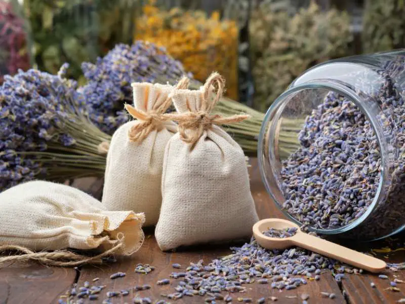 lavender-and-sachet-on-a-wooden-surface