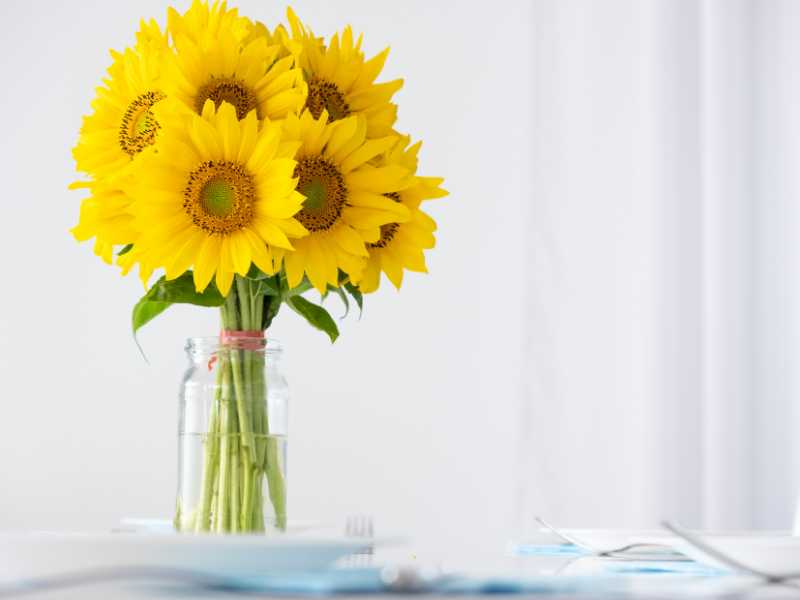 sunflower-bouquet-in-a-vase