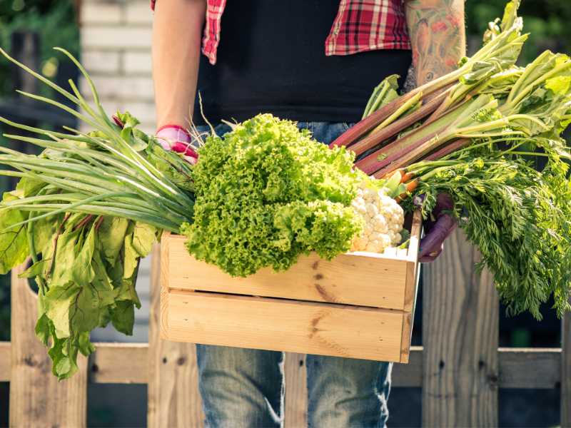 wooden-create-with-vegetables-in-it