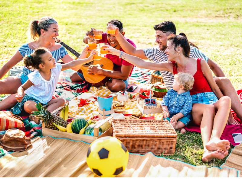 a-whole-family-picnic-gathering