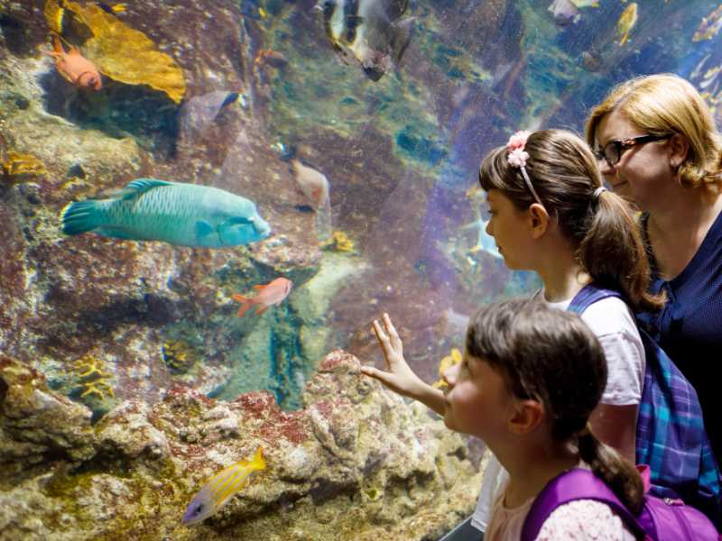 family-visit-to-aquarium-spring-break-for-family