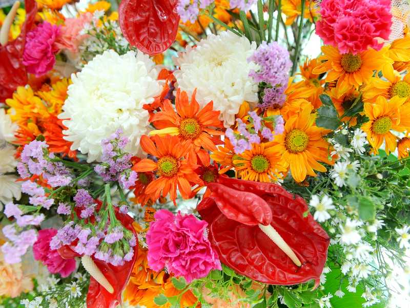 mixing-beautiful-flowers-together