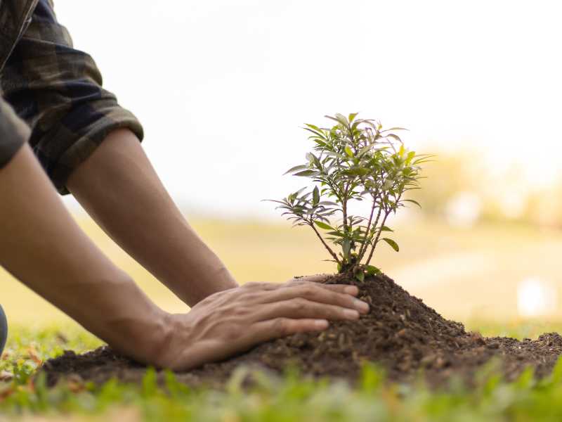 man-planting-a-tree-in-spring-bucket-list-ideas-for-family