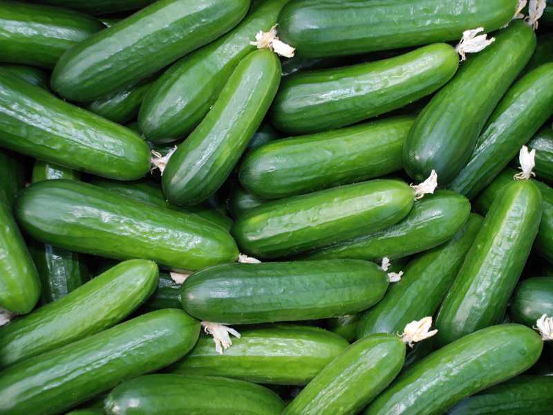 green-cucumber