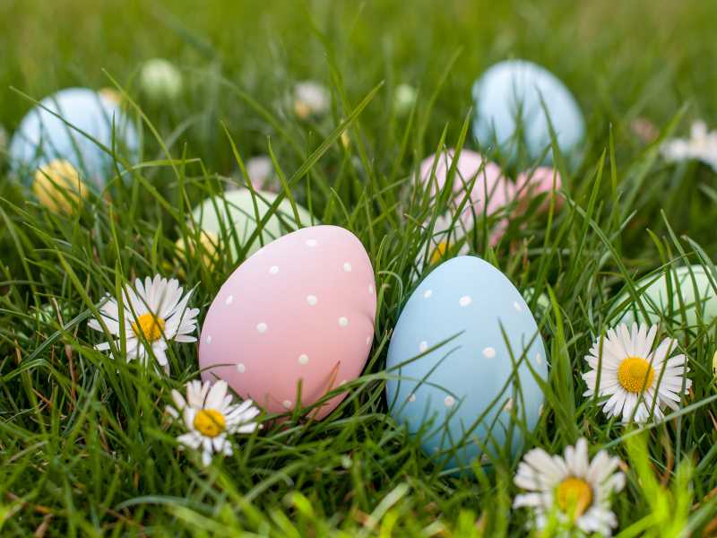 easter-eggs-in-the-bloom