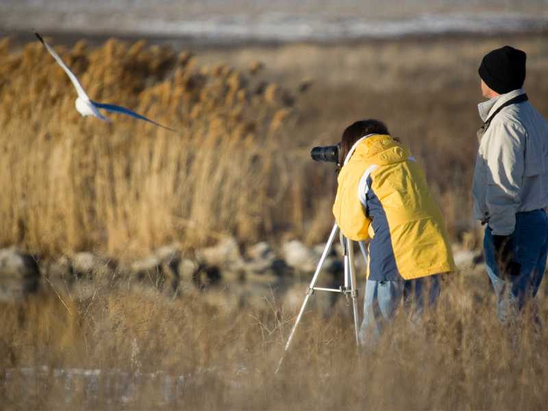 a-guy-and-a-lady-watching-a-bird-on-spring-bucket-ideas