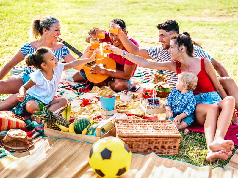 two-family-having-a-picnic