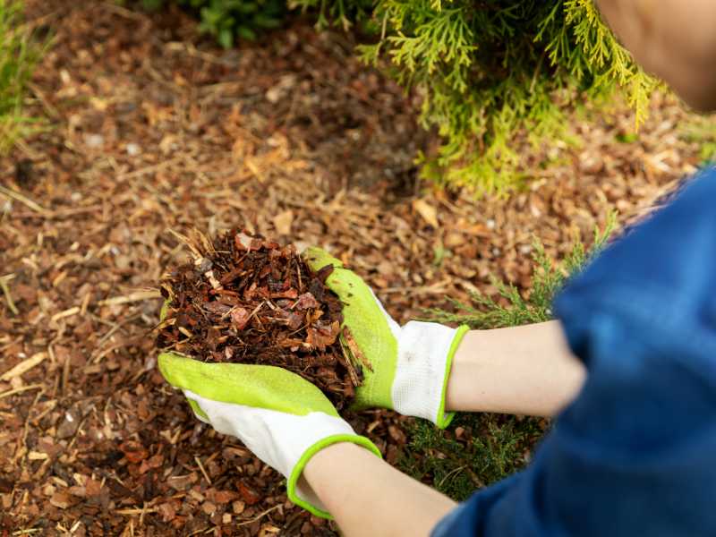 keeping-weed-away-spring-gardening-for-beginners 