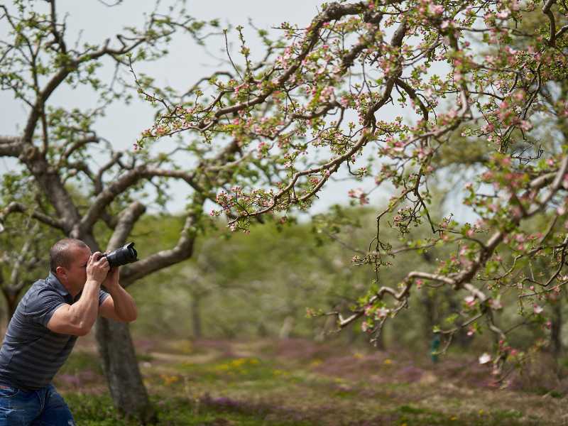 beautiful orchard farm