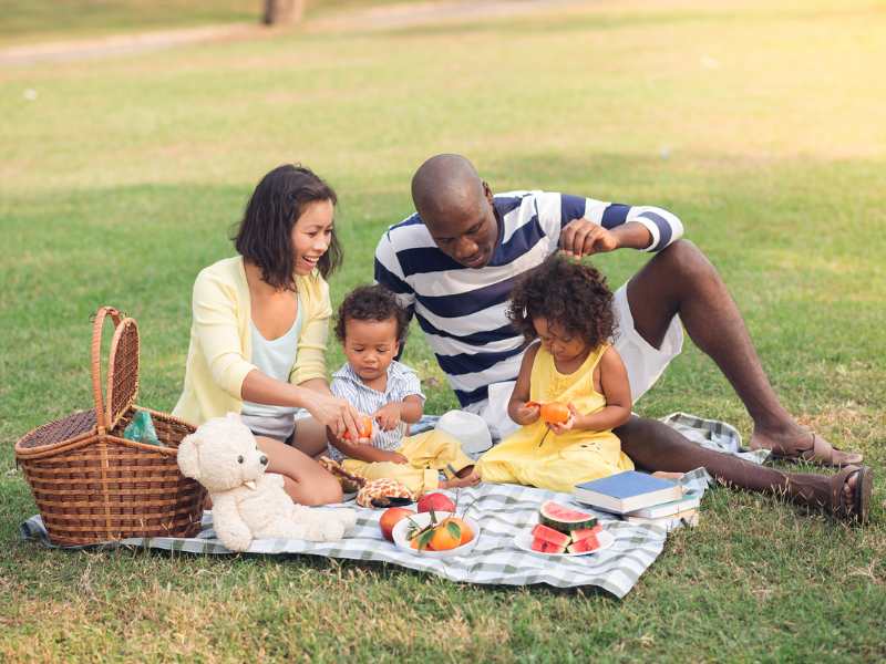 family-of-four-in-a-picnic-outside-an-ideal-spring-bucket-list-ideas-for-families