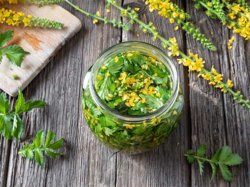 green-and-yellow-flower-in-a-bottle-jar-for-stunning-arrangement