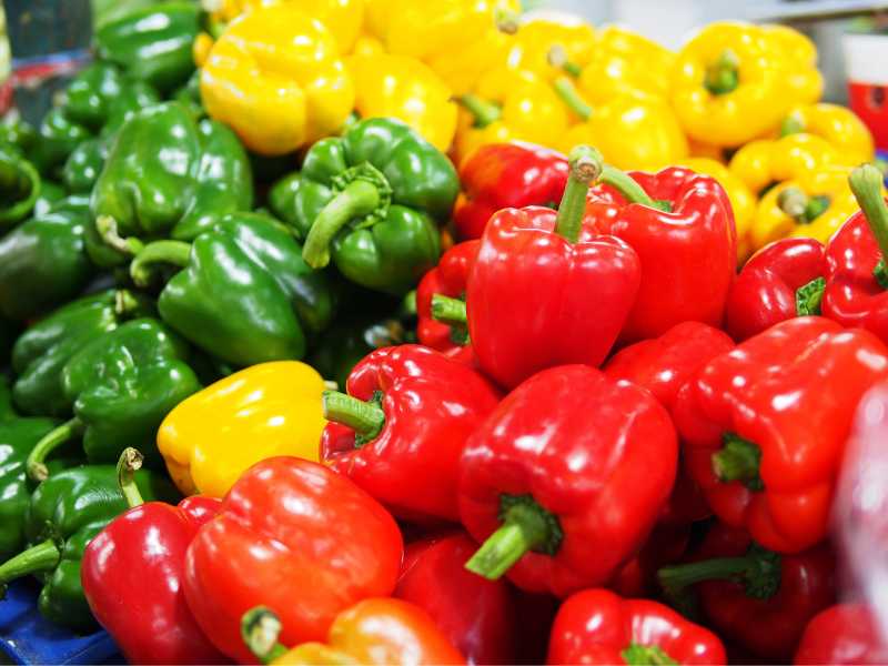 green-red-and-yellow-sweet-pepper-for-spring-for-beginners