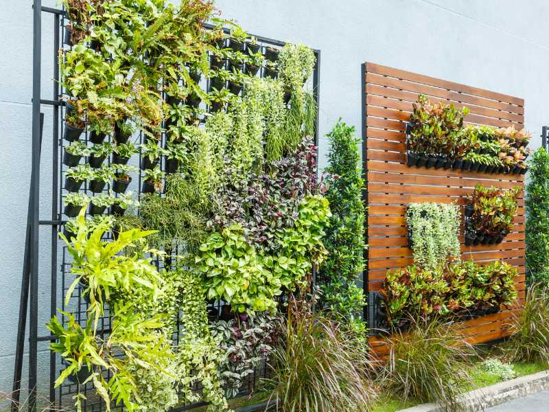 using-vertical-gardening-crop