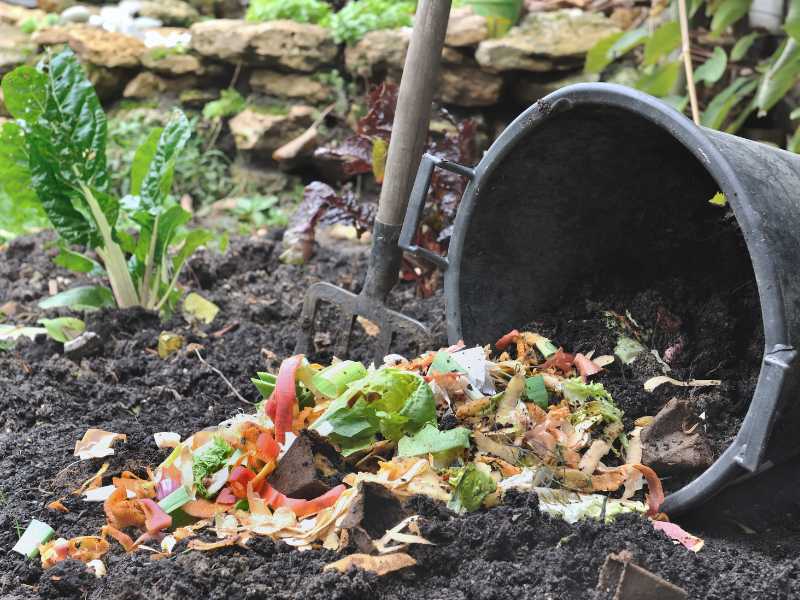 compost-fertilizer-pour-out-from-bucket