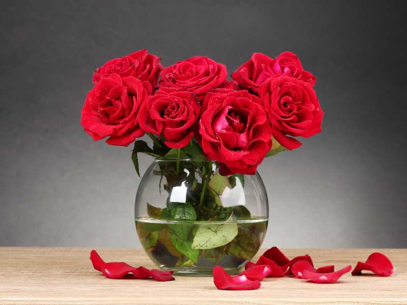 red-flower-in-a-round-glass-flower-vase