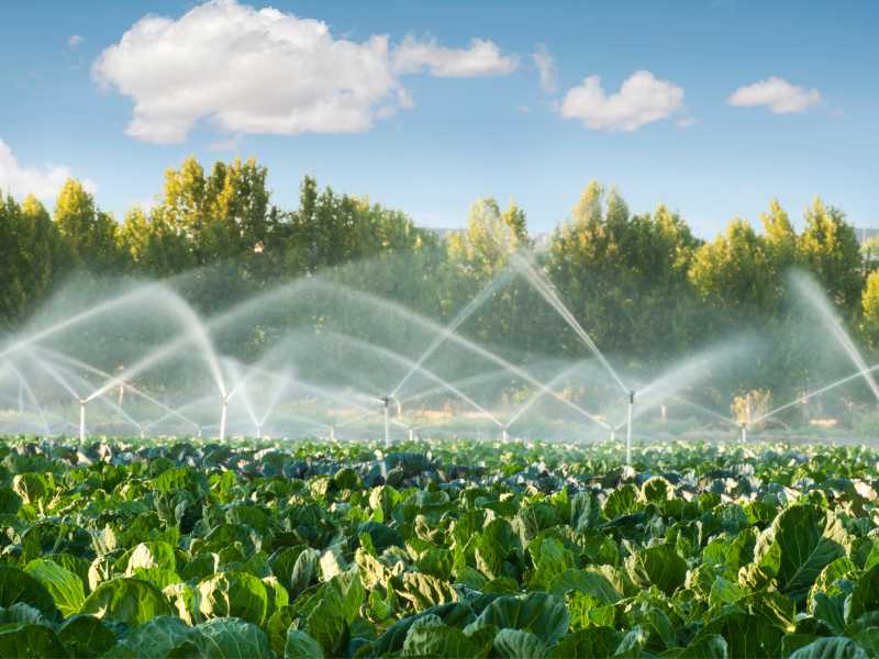 water-the-farm-smartly-for spring-beginners