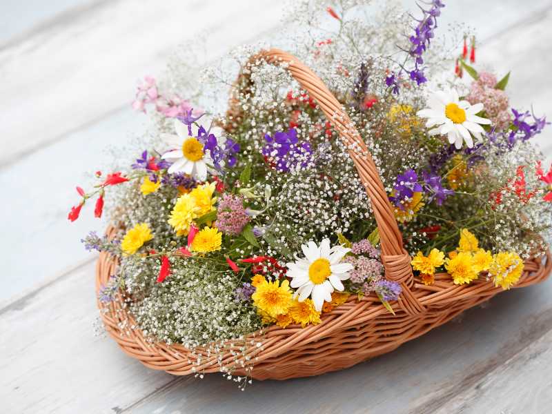 fresh-basket-of-bloom-on-the-table-for-spring-photography-tip