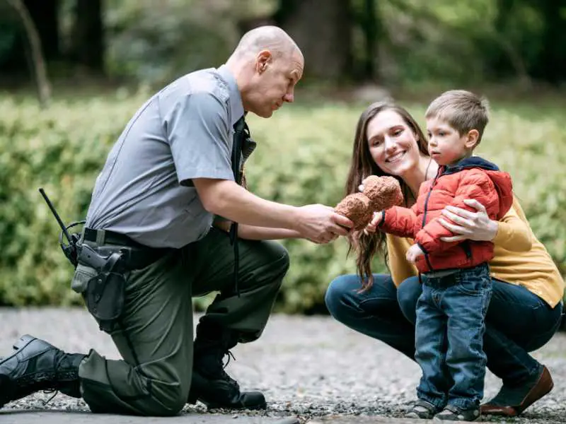 give-the-child-a-choice-calm-toddler-tantrum-hack