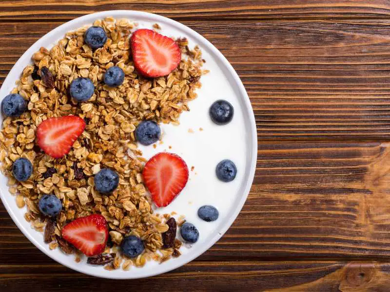 a-bowl-of-greek-yogurt-with-berries-ways-on-how-to-make-easy-toddler-meal