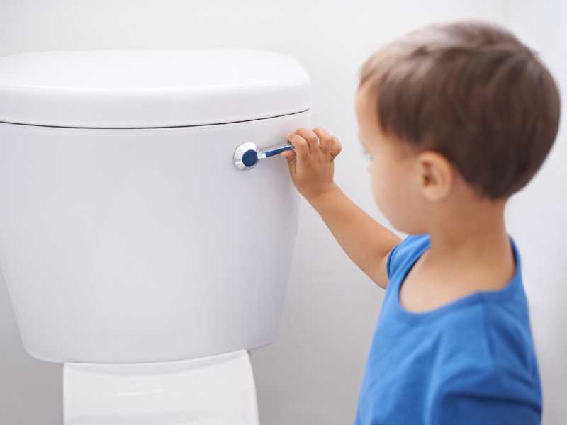toddler-flushing-himself-to-potty-train-your-toddler-fast