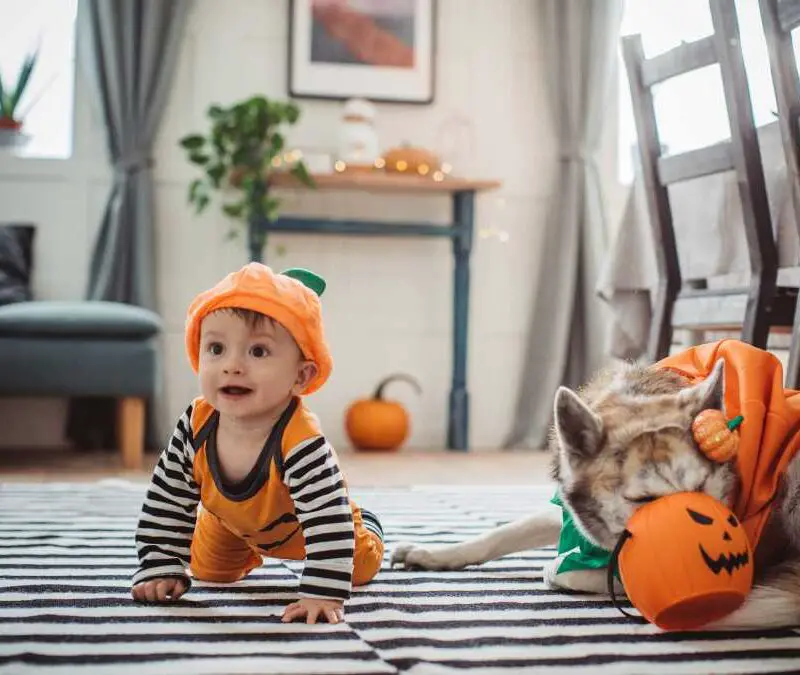 avoid-tails-costume-for-baby