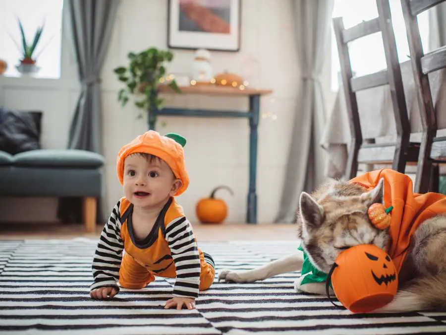 avoid-tails-costume-for-baby