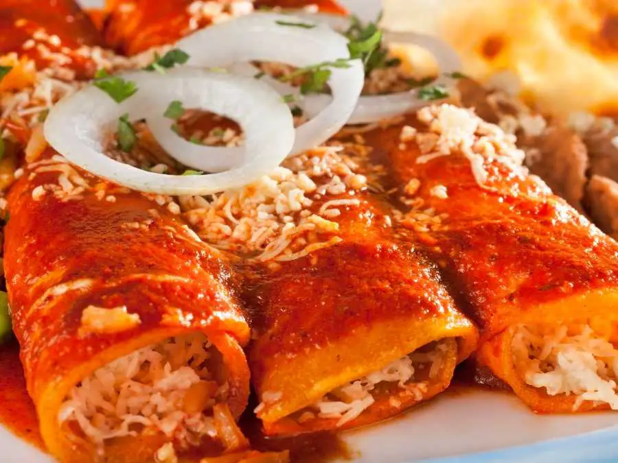 chicken-enchiladas-with-slice-onion-how-to-make-freezer-meals-for-mom