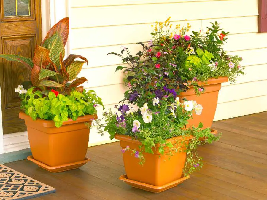 compact-planter