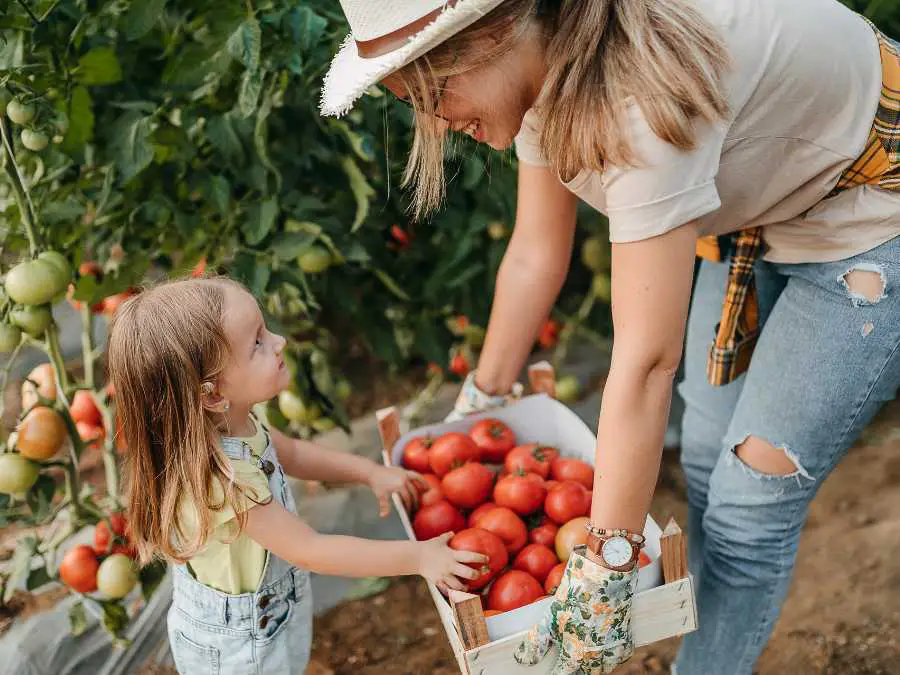 mom-asking-for-help-how-to-manage-mom-life-and-work-life