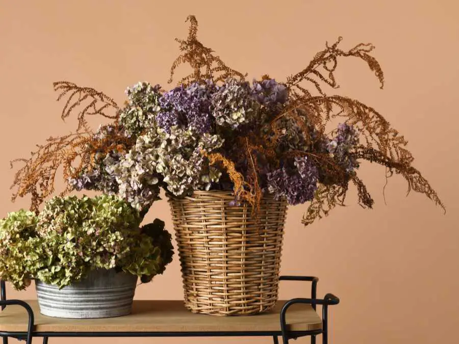 two-dried-floral-bouquet
