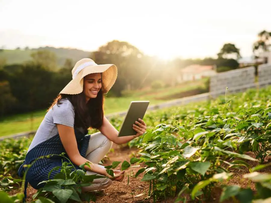 using-technology-in-farm-to-stay-organized