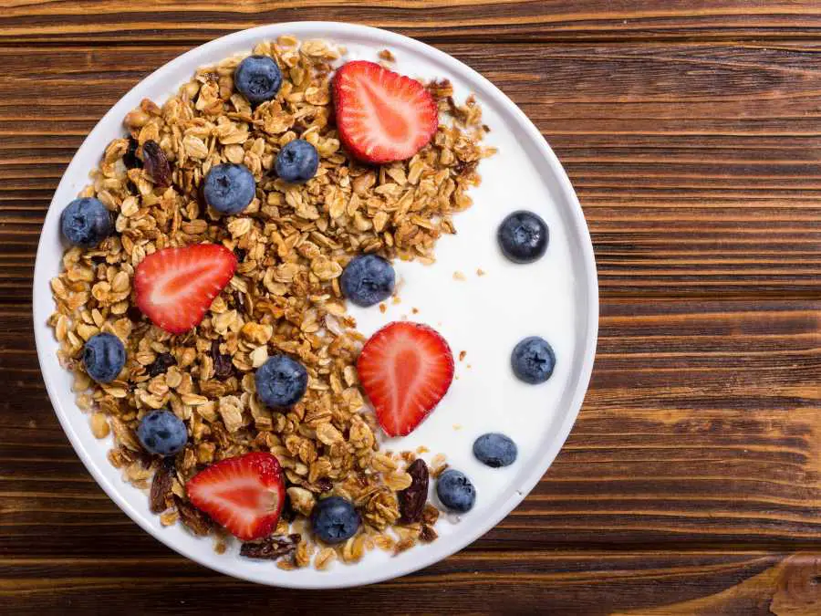 greek-yogurt-with-fruit-approved-kids-friendly-snacks