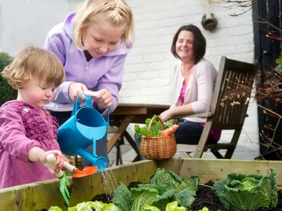 growing-herbs-and-veggies