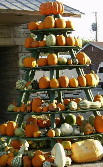 patch-pile-no-carve-pumpkin-ideas-for-kids