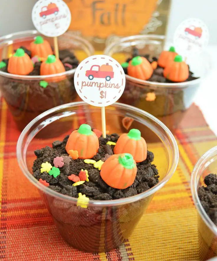 pumpkin-patch-pudding