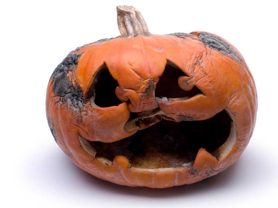 rotting-pumpkin-ghoulish-halloween-decor-ideas