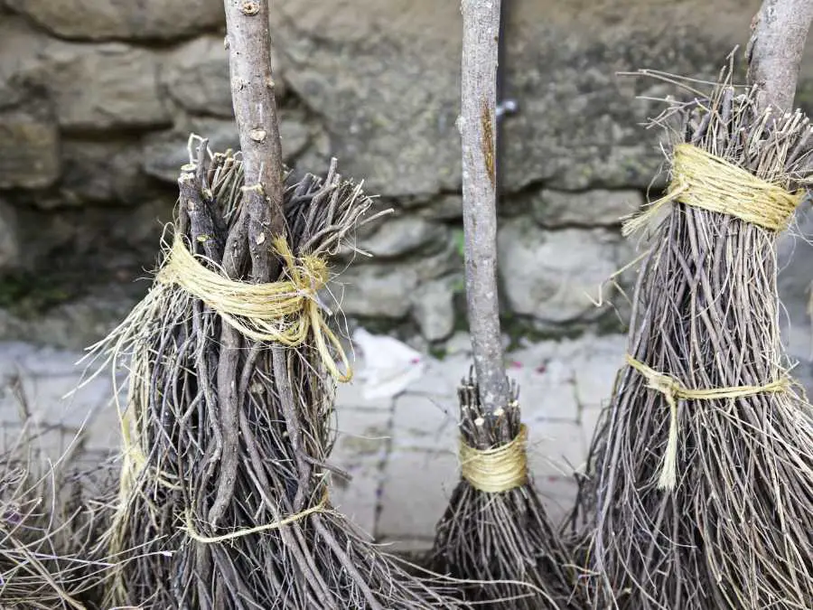 witch-broom