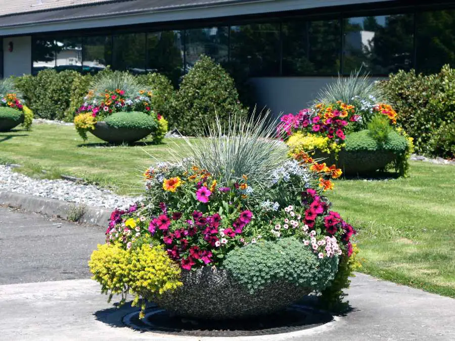 barrel-planter-with-fall-foliage