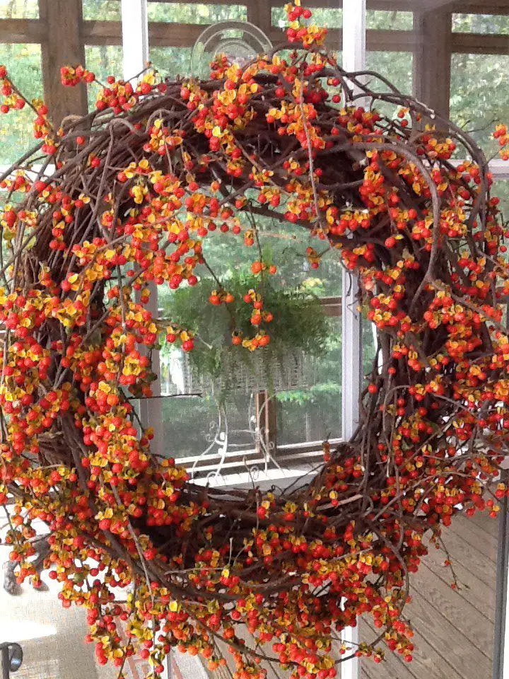 Bittersweet-vine-wreath