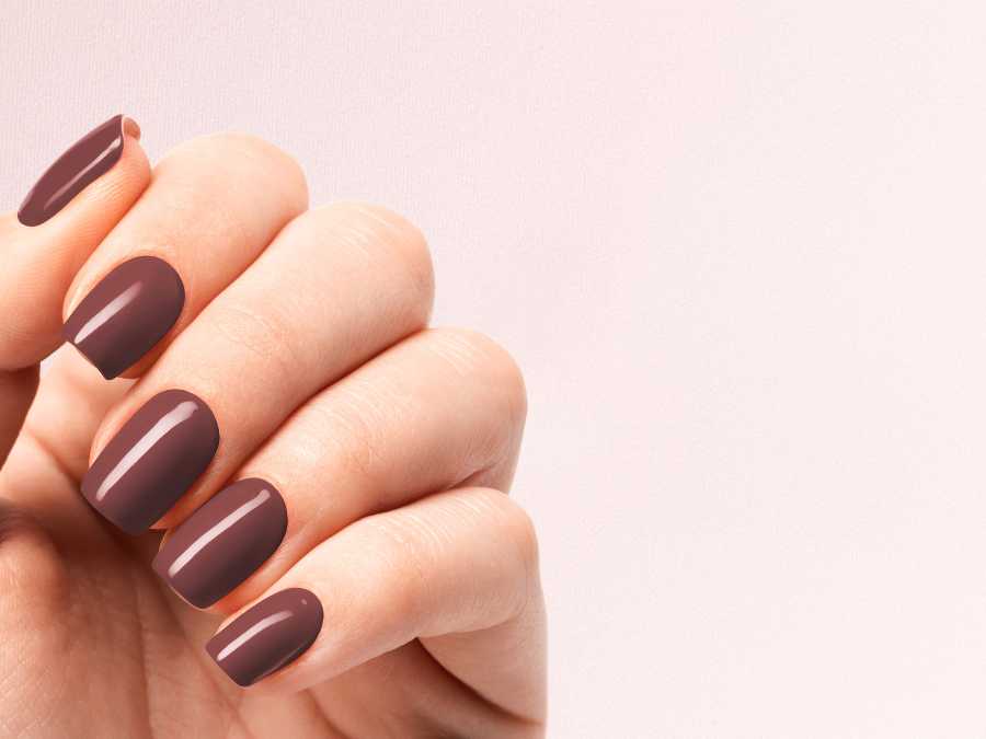 chocolate-brown-chic