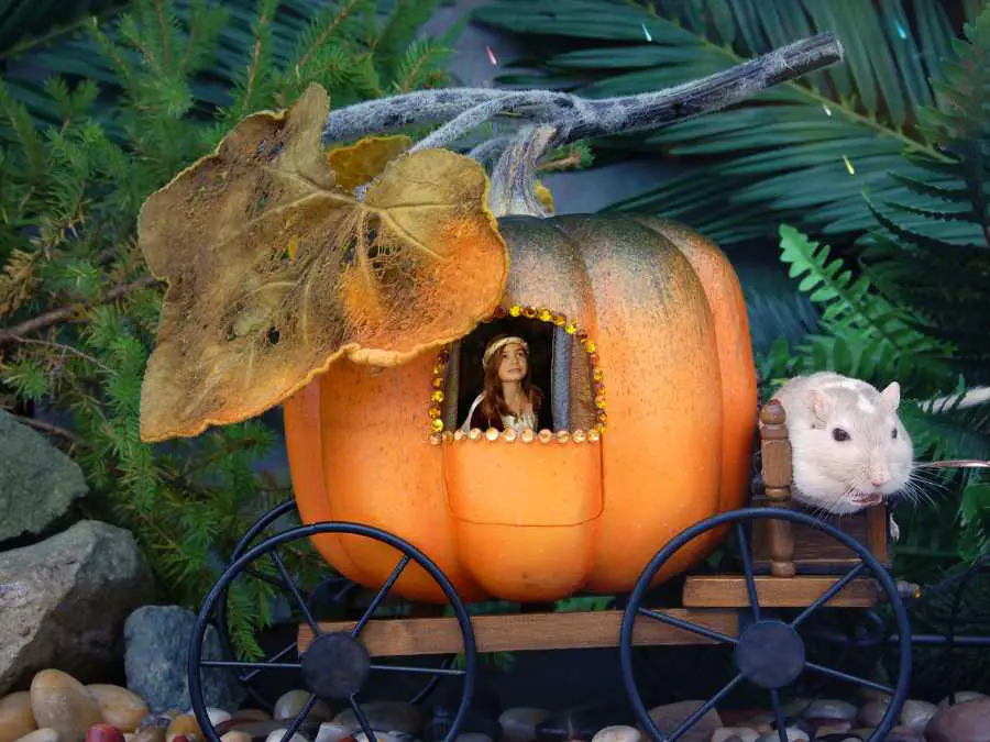 fairy-house-pumpkin-unique-pumpkin-carving-ideas