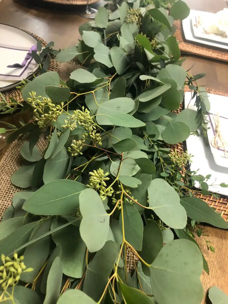 eucalyptus-garland