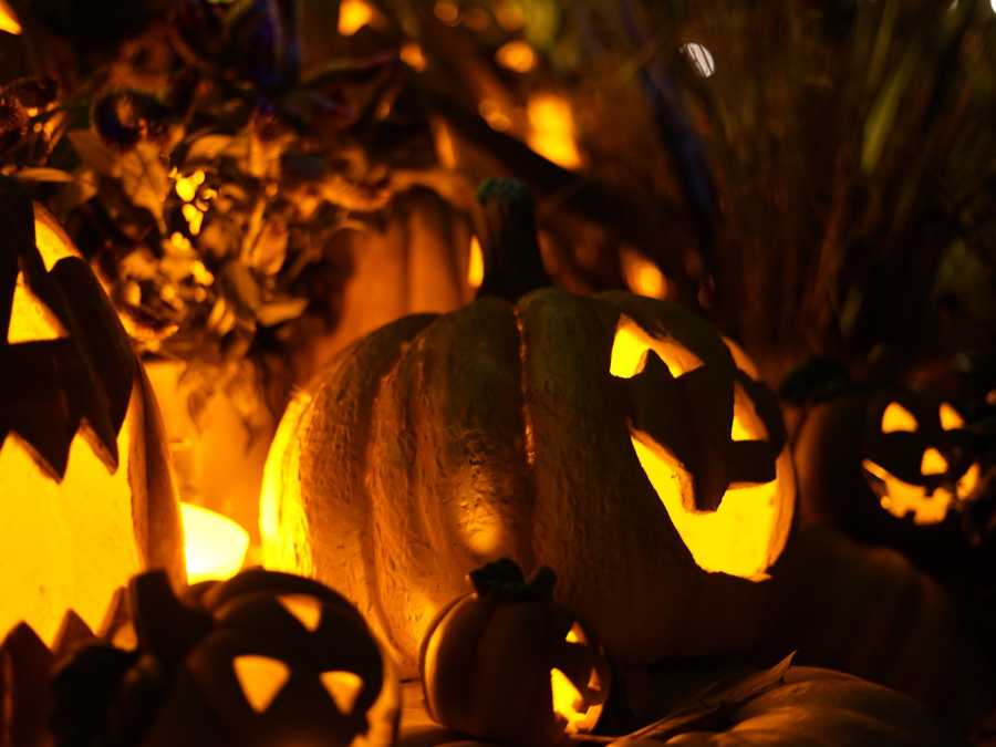 ghostly-faces-unique-halloween-carving-ideas