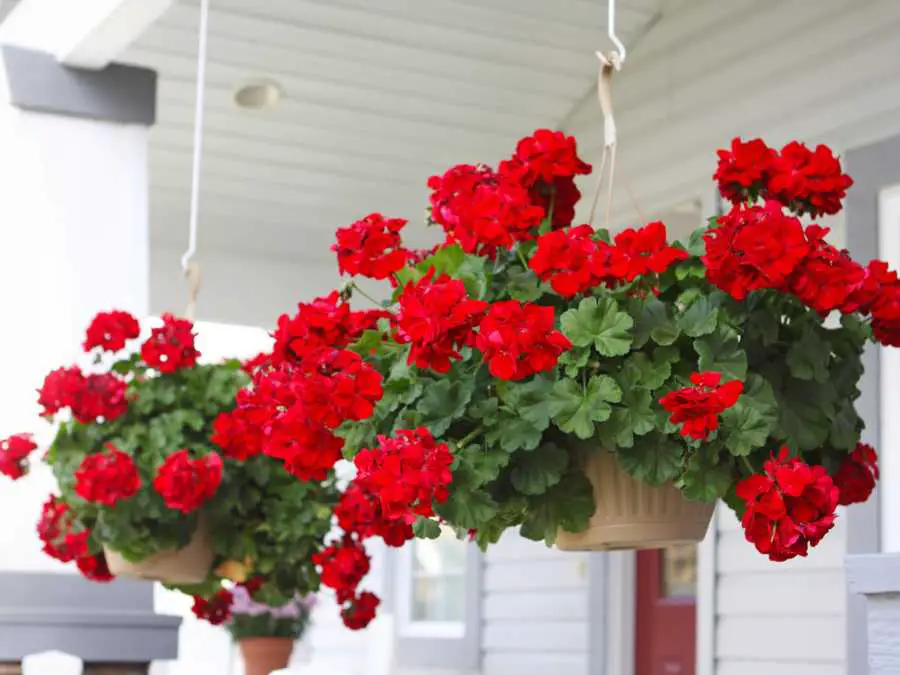 hanging-harvest-basket-modern-farmhouse-fall-decor