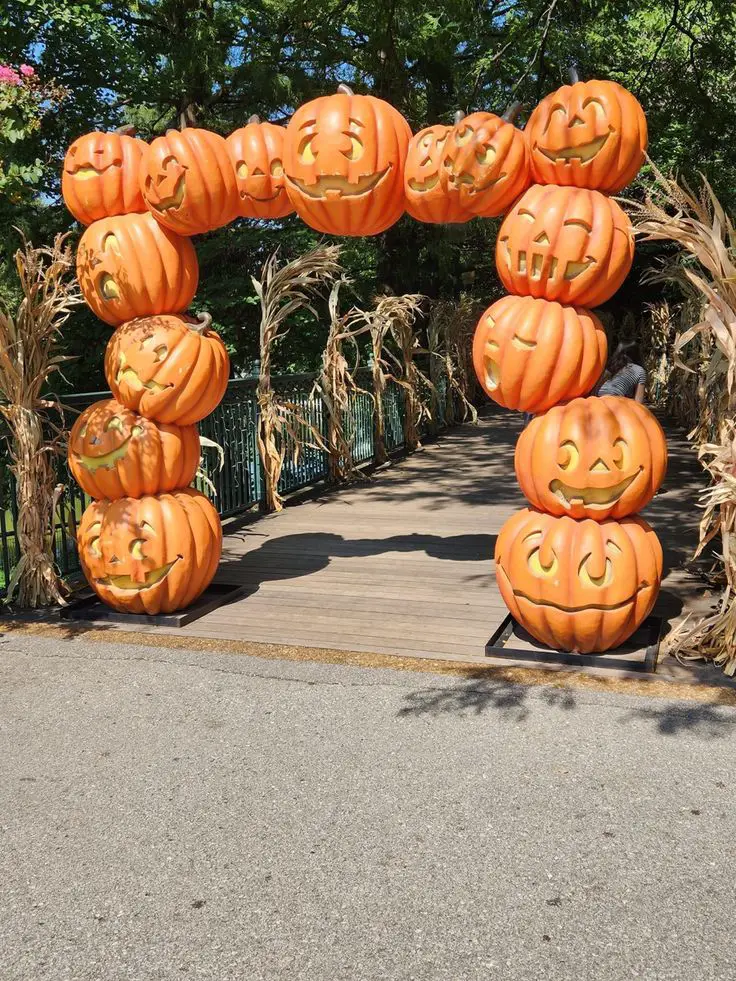 harvest-scene-pumpkin